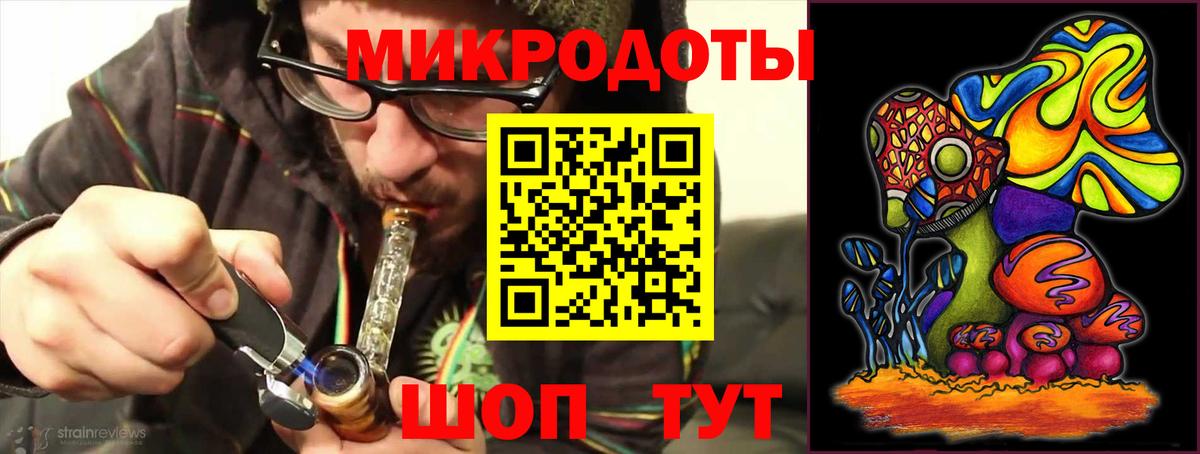 Псилоцибиновые грибы Psilocybine cubensis Кандалакша