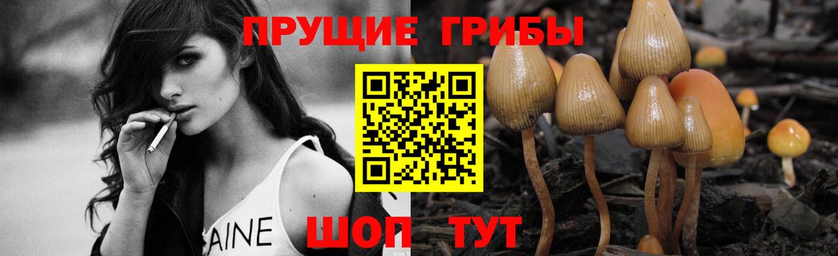 где можно купить наркотик  Псилоцибиновые грибы MAGIC MUSHROOMS  Кандалакша  Вход с VPN  Псилоцибиновые грибы ЛСД 